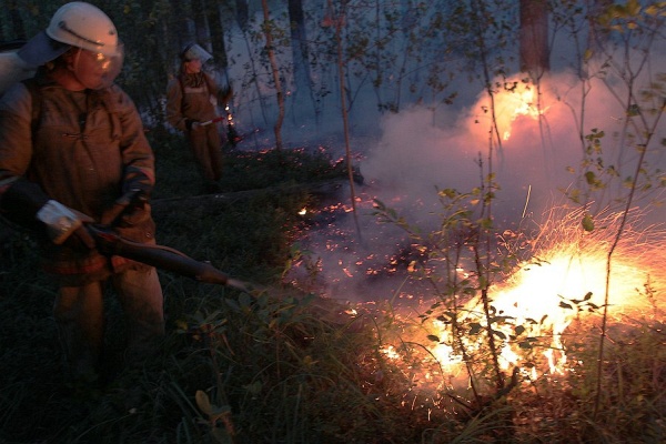 В Пскове добровольцев учат тушить пожары 